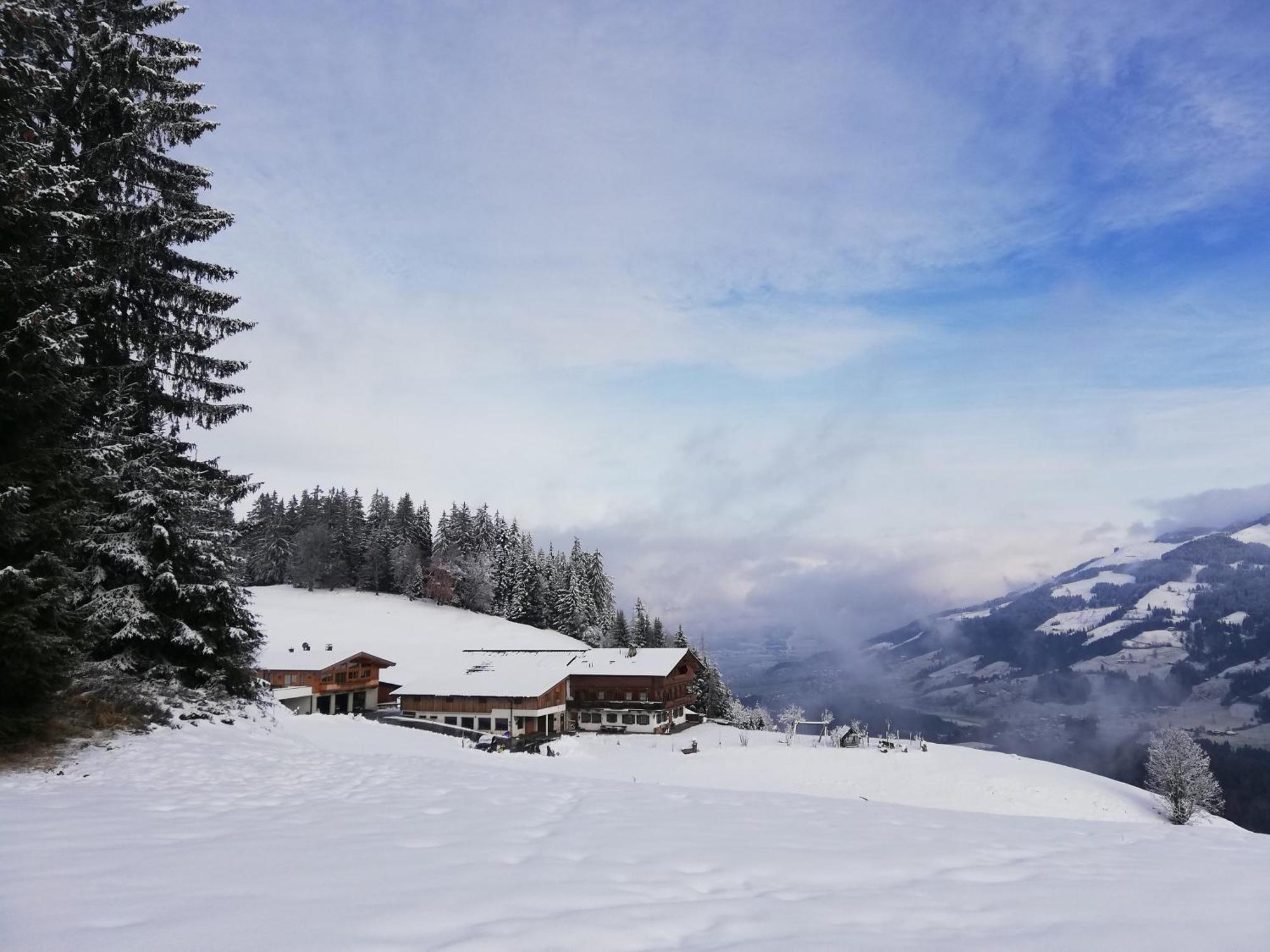 Apartament Hof Zenzern Kitzbühel Zewnętrze zdjęcie